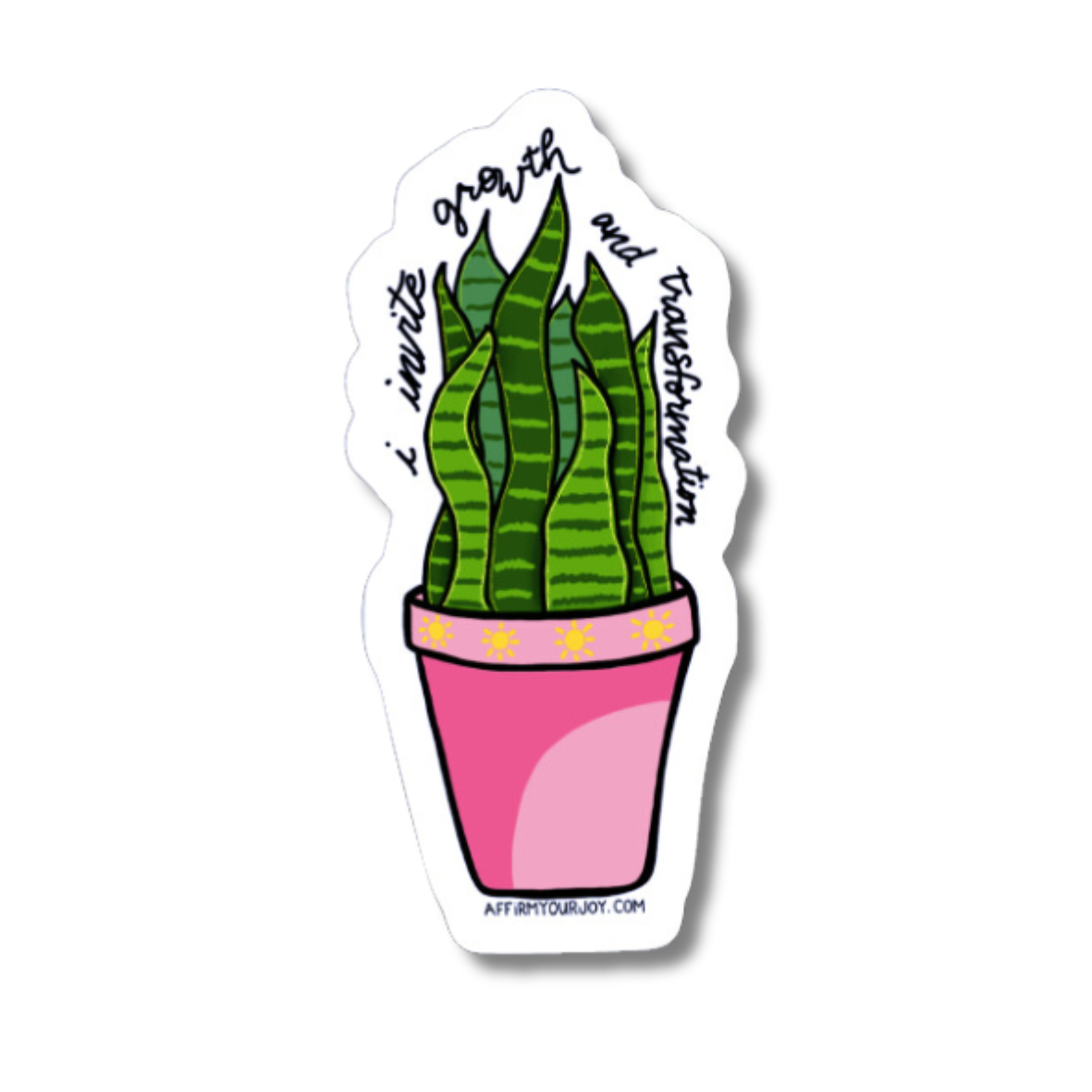 Growth + Transformation